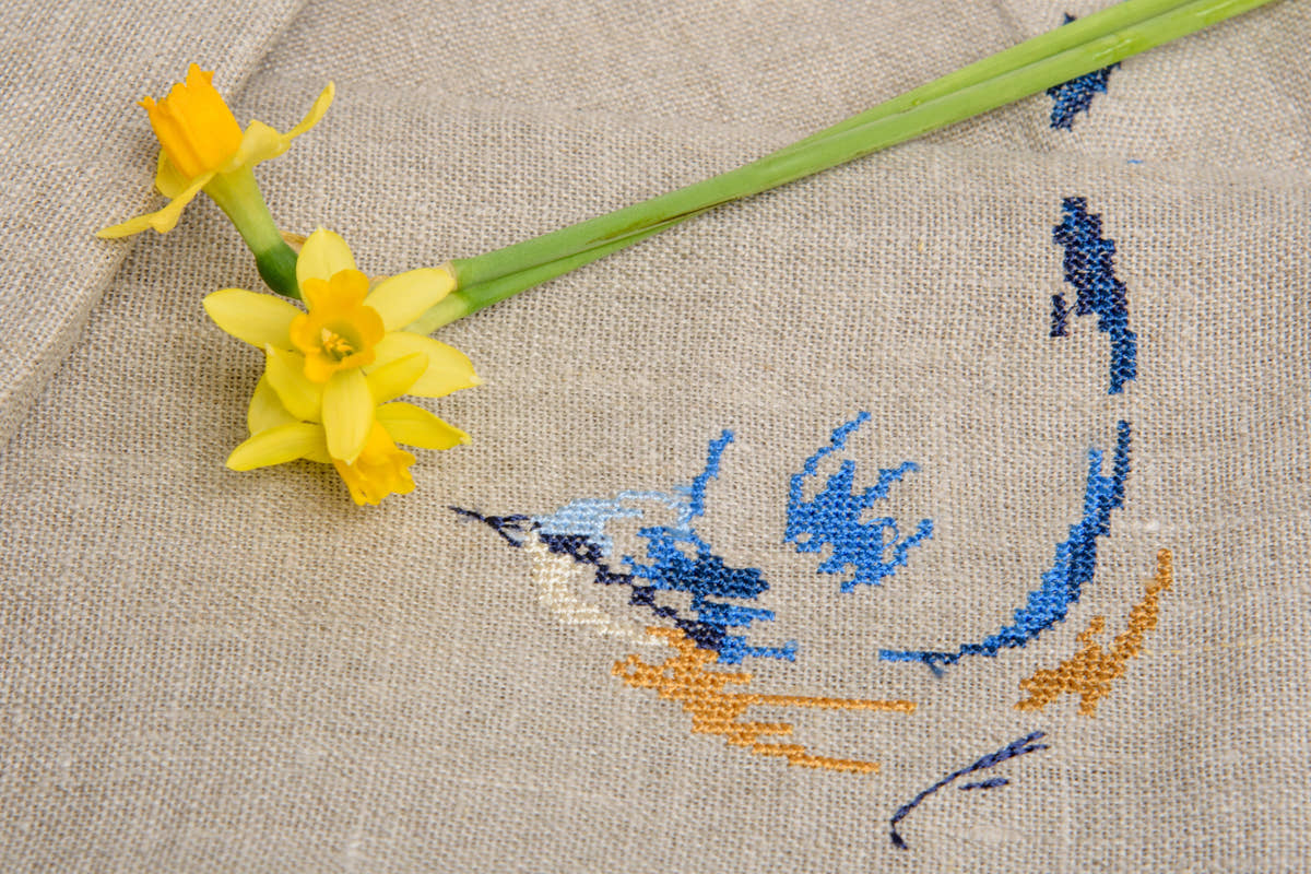 Blue Bird Runner