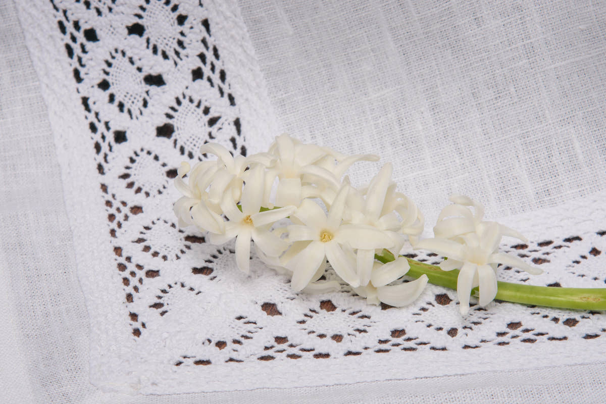 Lace Trim Tablecloth - White
