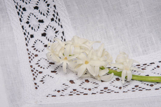 Lace Trim Tablecloth - White