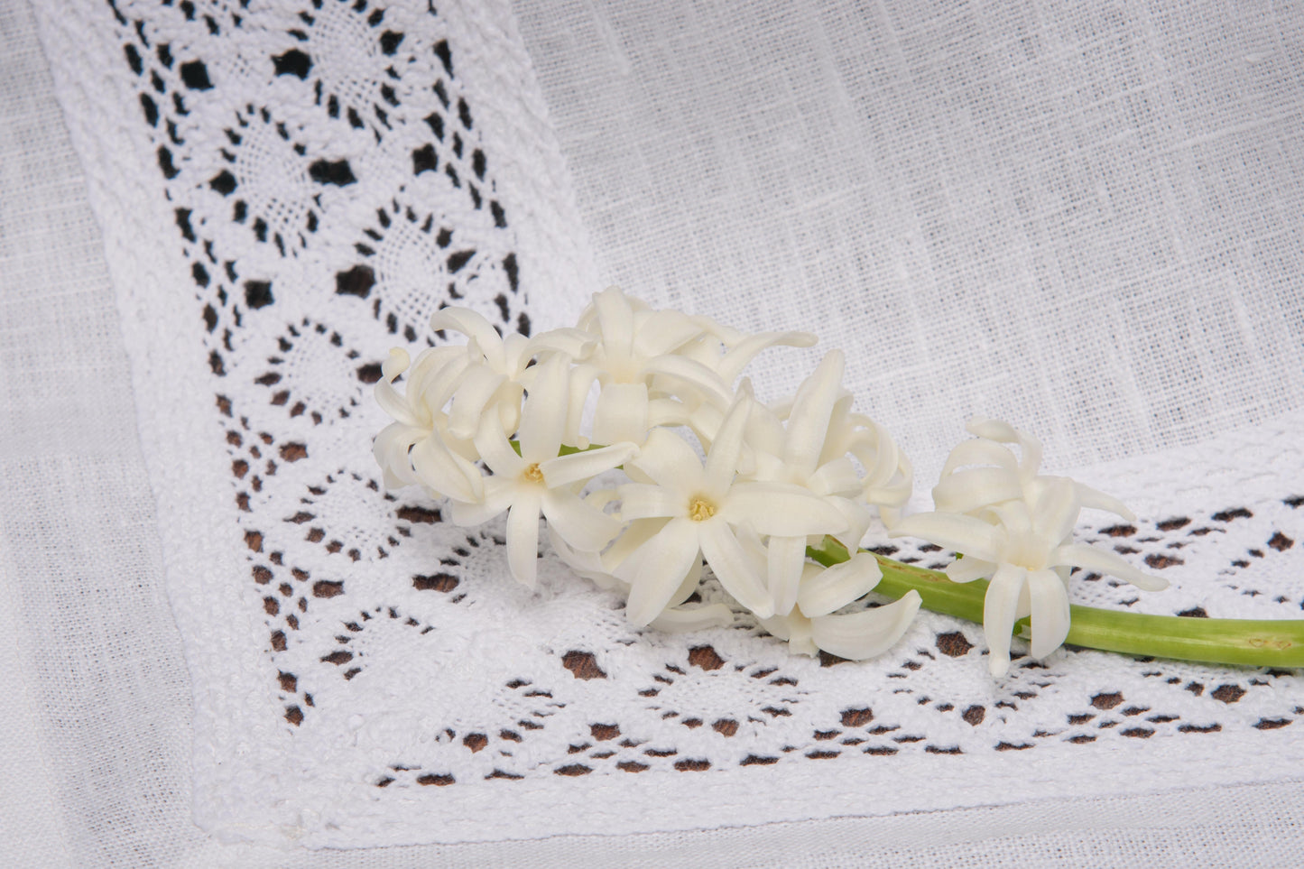 Lace Trim Tablecloth — White